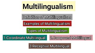 What is Multilingualism  Types of Multilingualism  Bilingualism and Multilingualism  Examples [upl. by Arrio179]