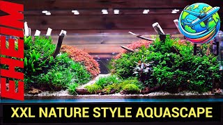 Nature Style Aquascape [upl. by Lupiv]