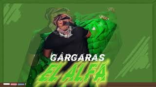 El Alfa gargara ft Alofoke Audio [upl. by Lemal421]