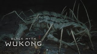 Conquering the Centipede Guai in Black Myth Wukong NG [upl. by Englebert]