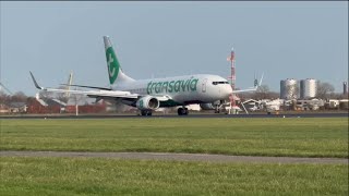 Nice Transavia 737 landing  AmsPlaneSpotting [upl. by Nonnel335]