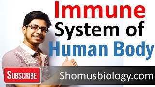 Innate and adaptive immunity  immune system of human body lecture [upl. by Feeney]