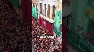 The La Tomatina festival in Spain shorts [upl. by Crowell]