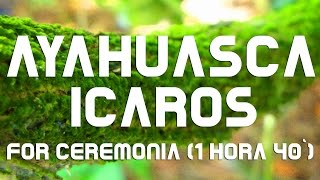 AYAHUASCA  ICAROS for Ceremony 1hr 40 Duration [upl. by Uol903]