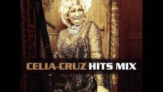 Celia Cruz La Vida Es Un Carnaval ReggaeLatino Mix [upl. by Aicenod]