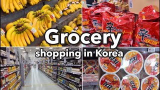 🇰🇷Grocery Shopping in Korea  Lotte Mart with Prices  Korean Supermarket [upl. by Leila734]