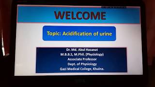 Acidification of urine [upl. by Avenej]