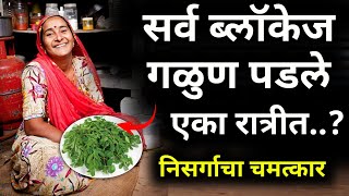 एकदा हे खाल्ल की आयुष्यभर सुखीHealth tips Boost Your Wellness amp Energyआरोग्य [upl. by Ahsinom957]