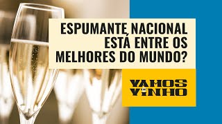 É verdade que o espumante nacional só perde para Champagne Há quem discorde [upl. by Anatnom]