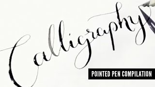 Pointed Pen Calligraphy Compilation [upl. by Wooldridge]