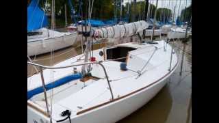 Velero J 24 en venta  Campo Embarcaciones [upl. by Eiramyllek746]