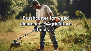 Brush cutter usage for weed clearence in agriculture field brushcutteragritoolsshortsfeed [upl. by Alurd]