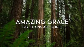 Amazing Grace My Chains Are Gone  Chris Tomlin Lyrics [upl. by Kronfeld710]