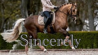 Sincerely  Dressage Music Video [upl. by Areic]