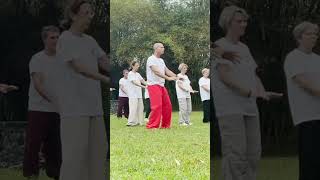 Qi Gong  Ouvrir sa poitrine et son esprit  stimule les poumons et masse le coeur [upl. by Atnima920]