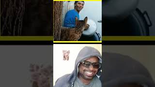 Animal vs Human Reactions 🤯🐾 4 comedy AnimalBehavior HumanReactions Shorts Viral [upl. by Odrareve]