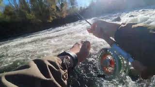 Hucho Fly Fishing  Season opener 202324 [upl. by Japha]