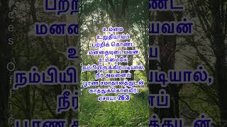 Todays Bible verse Todays Promise verse 7th Nov 2024 இன்றைய வேத வசனம் sisEsther Nirmal Kumar [upl. by Anitsyrhc]