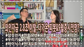 외국인 자금 28조 이탈 속 성큼 다가온 피봇과 9월 증시 전망 [upl. by Adnana]