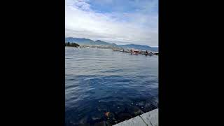 Crisp November Day at Coal Harbour Vancouver Stunning Waterfront Views in 3 Minutes [upl. by Schoenburg100]