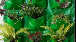 वॉल हँगिंग  Vertical farming grow bag manufacturer Greeno Biotech 9850090469 [upl. by Chao226]