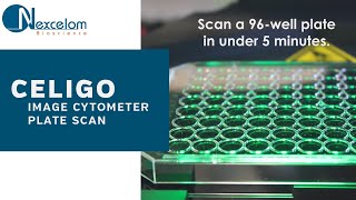 Celigo Image Cytometer Plate Scan Video [upl. by Enyledam423]