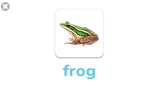 New words Bat Frog  Animals names and sounds  Learn English for Kids [upl. by Jacobs]