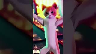 patale kamer hi funny cat dance viral [upl. by Greenes]