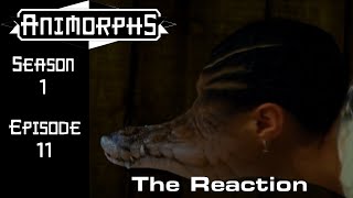 Animorphs TV Show 111 The Reaction [upl. by Konstantine]