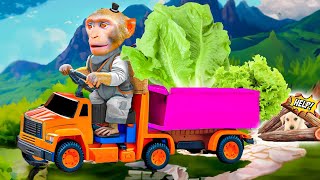 Monkey Plant Tree and Harvest Vegetable so Fun  Miko Monkey Animal [upl. by Camm285]