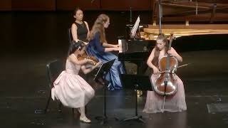 Smetana Piano Trio I Moderato assai [upl. by Inat]