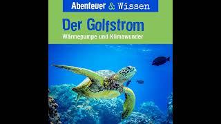 Abenteuer amp Wissen  Der Golfstrom  Wärmepumpe und Klimawunder [upl. by Rebmyk]