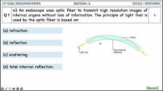 An endoscope uses optic fiber to transmit high resolution images of internal organs without loss [upl. by Sonny]