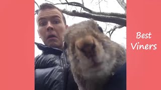 JEROME JARRE Squirrel Vine compilation  Best Viners [upl. by Polk550]