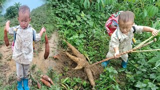 My 2 year old son digs cassava and sells it to buy medicine for his fatheryoutube [upl. by Ashleigh]