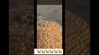 DOG ON PYRAMID PYRAMID GIZA DOGPARAGLIDER SPOT A DOG ON TOP OF PYRAMID GIZANEW VIDEO [upl. by Hebbe]