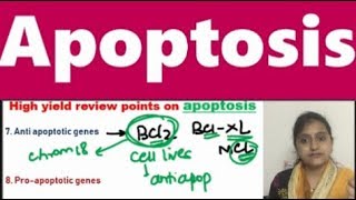 Apoptosis quickie covering frequently asked MCQs [upl. by Anabella]