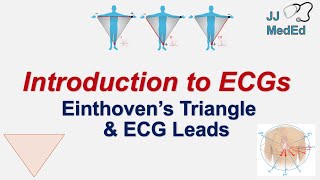 Introduction to ECG  The Basics  Einthoven’s Triangle Limb Augmented and Precordial Leads [upl. by Henricks370]