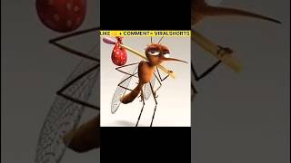 Why Mosquitoes Bite 😱 Most Dangerous Insect in The World  MOSQUITO  shorts short [upl. by Laveen]