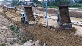 Work Team Power Of KOMATSU D60P Bulldozer Pushing Mud And Excavator​ Dump Trucks Working [upl. by Eicarg]