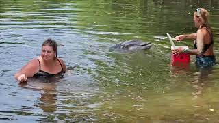 Leah amp Mommy having a splash fight with a Dolphin  June 2024 [upl. by Ronoh]