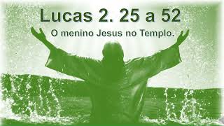 Lucas 2 25 a 52  O menino Jesus no Templo [upl. by Nynnahs]