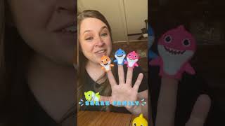 CUTE Baby Shark Finger Family Song🦈 kidssongs toddlersongs [upl. by Harlie]