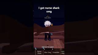 Nurse shark [upl. by Nohcim]