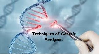 3 Southern Blots and Restriction Fragment Length Polymorphisms RFLPs [upl. by Gwenora132]