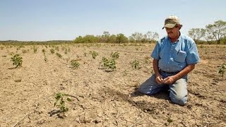 Cómo Superar la Temporada de Sequía en la Agricultura  TvAgro por Juan Gonzalo Angel [upl. by Damiani]