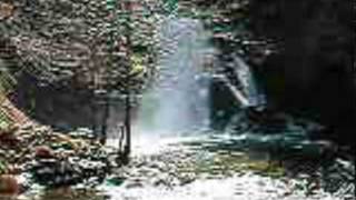 Jenkinson Lake Park Creek Hike to Waterfall [upl. by Hanover]