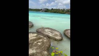 Cocalitos Bacalar Site of stromatolites [upl. by Andre507]