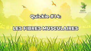 Les Fibres Musculaires  Quickie 14 [upl. by Attener]