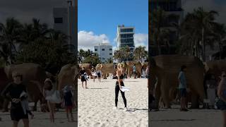 Miami Beach Perfection — Beautiful Weather amp Vibrant Crowds [upl. by Kipp]